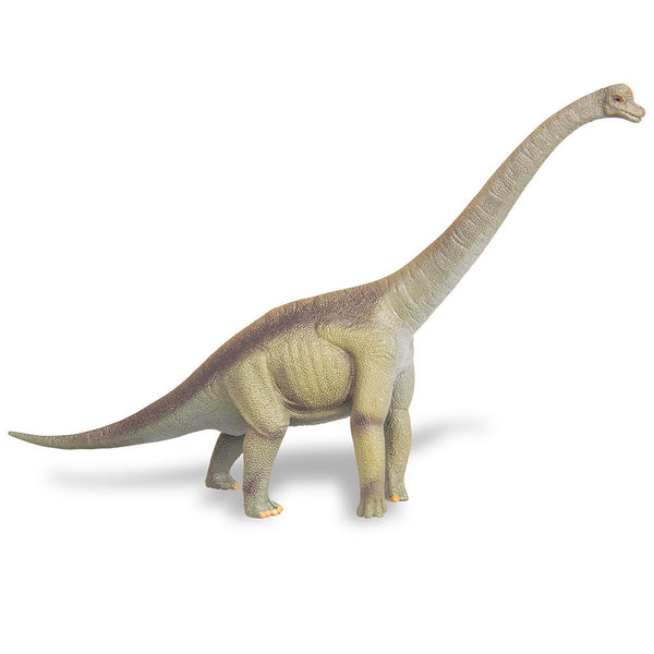 Collecta brachiosaurus cheap