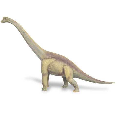 Brachiosaurus CollectA